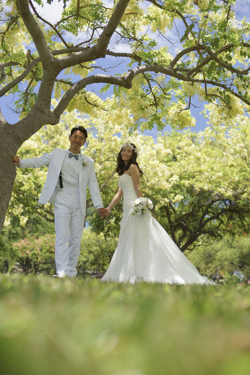 ハワイ ウェディングフォト ハワイ結婚写真はアンプハワイ